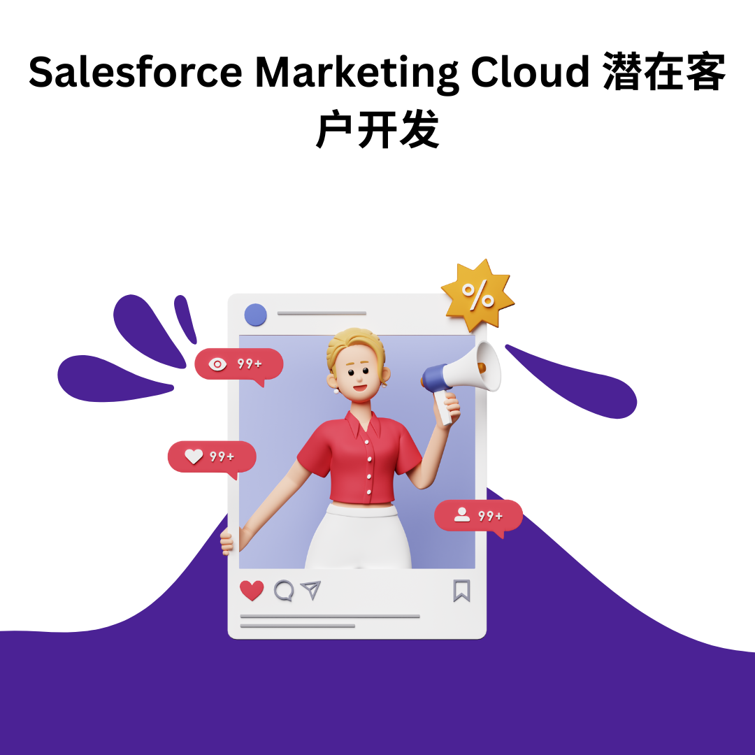Salesforce Marketing Cloud 潜在客户开发